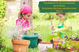 Бегония садовая: описание, виды и секреты успешного выращивания