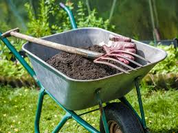 Как повысить плодородие почвы на дачном участке